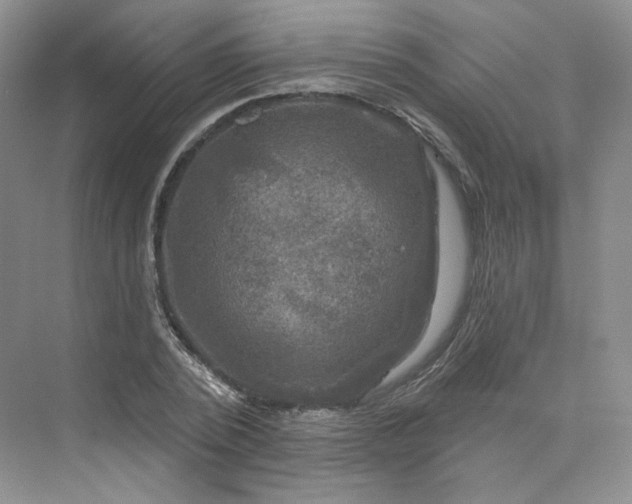 X0000075900784200609291731