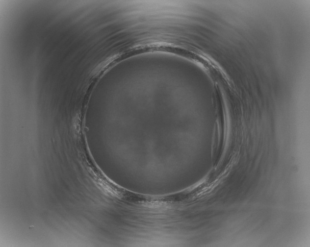 X0000075900785200609291731