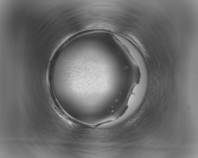 X0000075900788200609291731