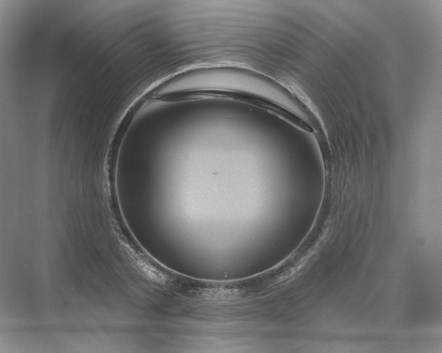 X0000075900789200609291731