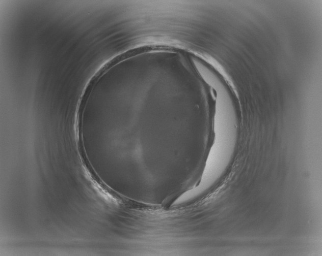 X0000075900791200609291730