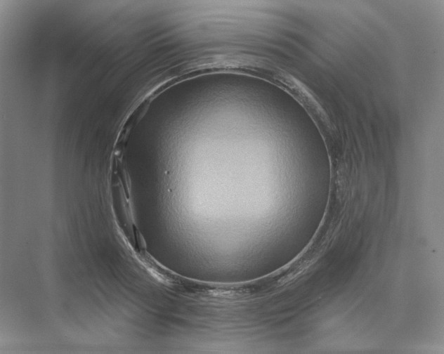 X0000075900794200609291730