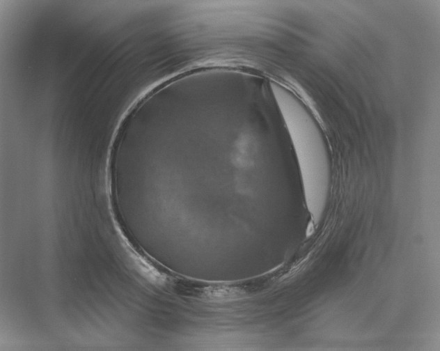 X0000075900795200609291730