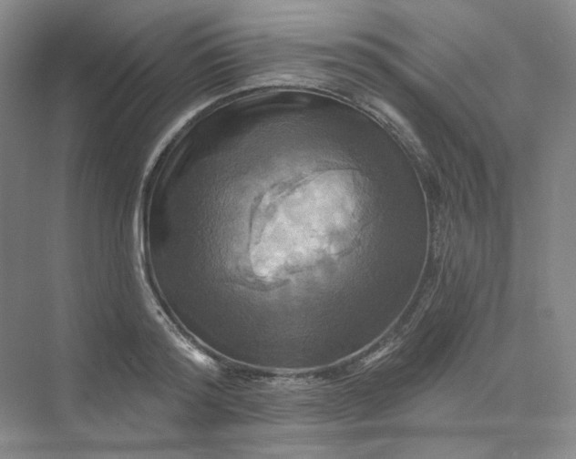 X0000075900796200609291730