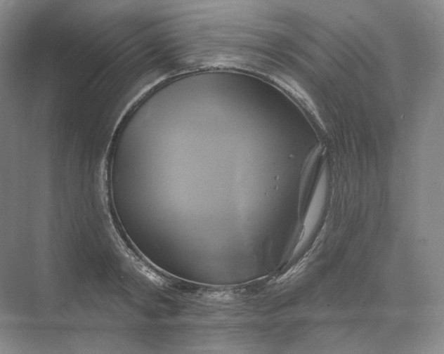 X0000075900798200609291730