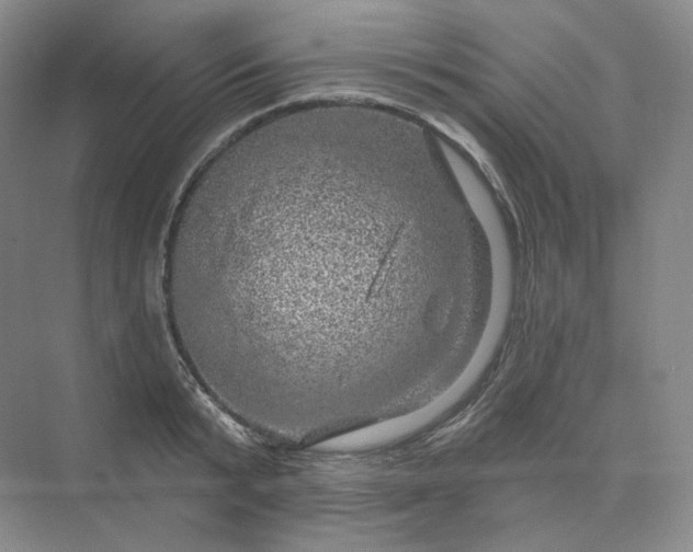 X0000075900799200609291730