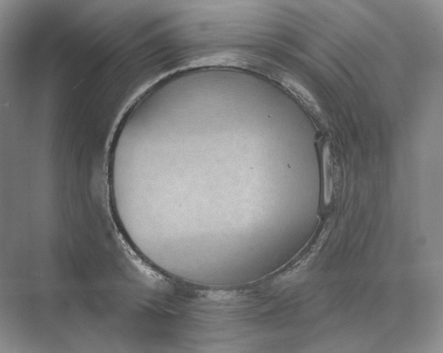 X0000075900800200609291730