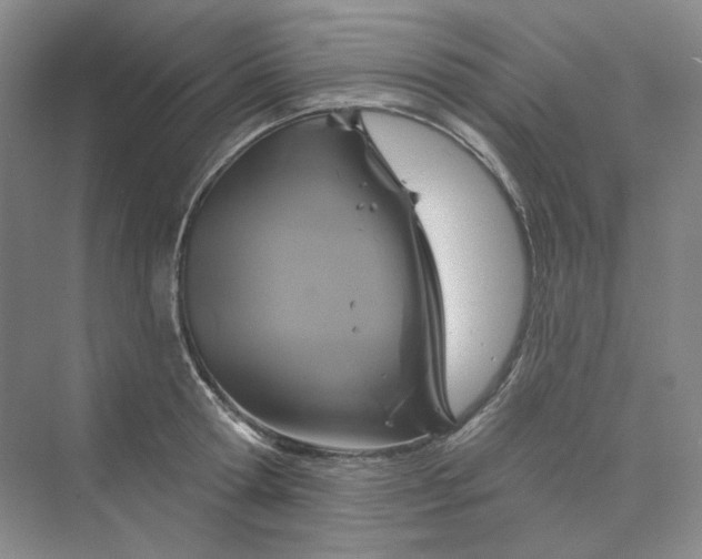 X0000075900802200609291730