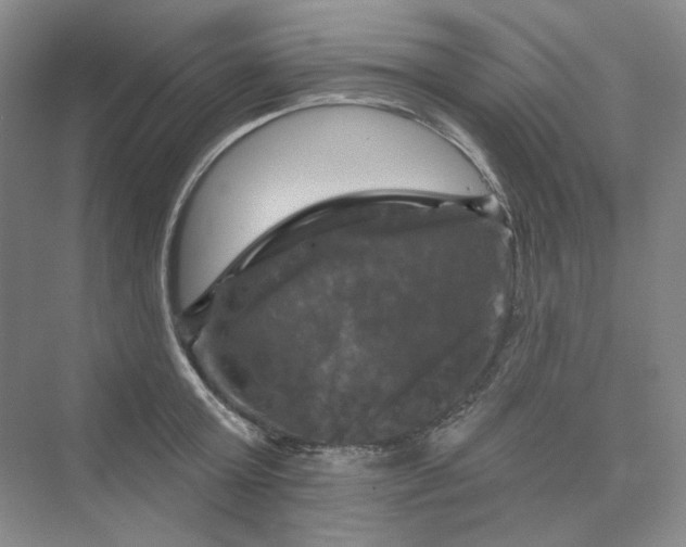 X0000075900803200609291730