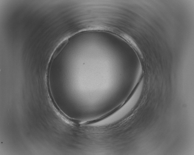 X0000075900805200609291730