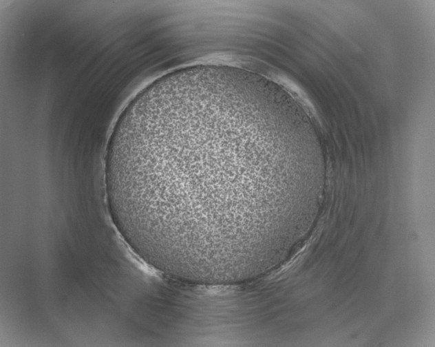 X0000075900808200609291730