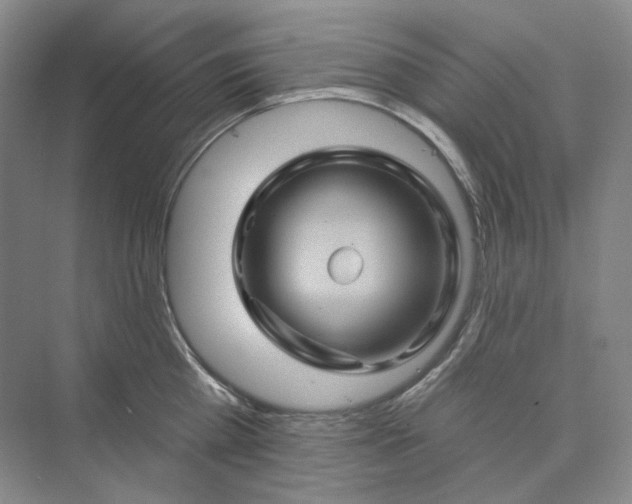 X0000075900809200609291730