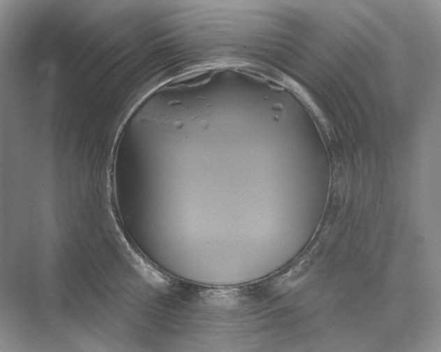 X0000075900810200609291730