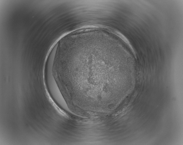 X0000075900811200609291730