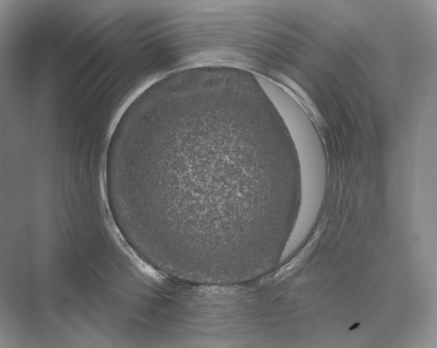 X0000075900812200609291730