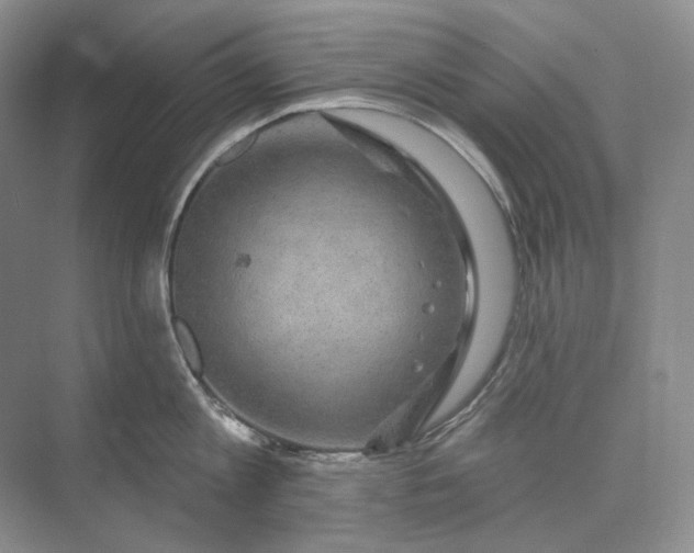 X0000075900813200609291730