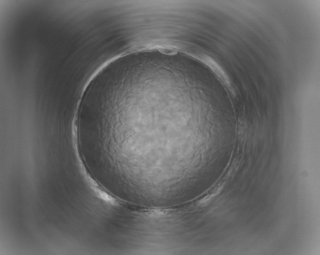 X0000075900814200609291730