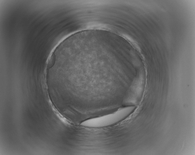 X0000075900816200609291730