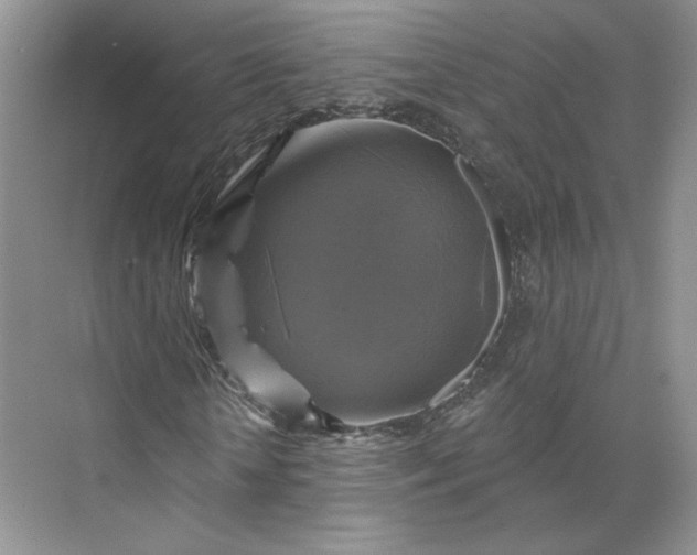 X0000075900818200609291729