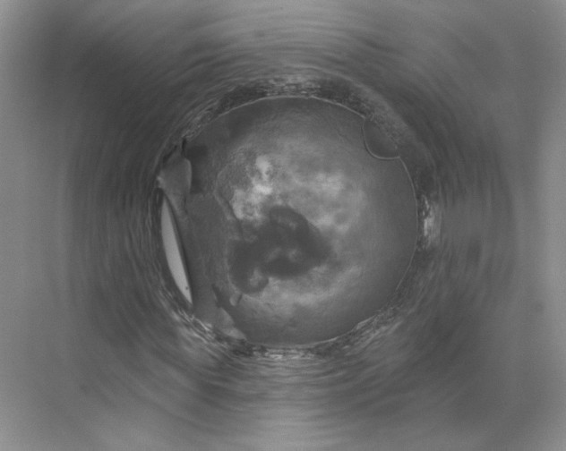 X0000075900819200609291729