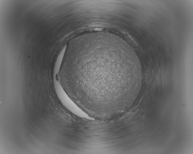 X0000075900821200609291729