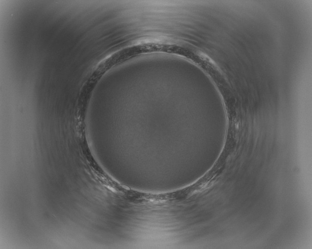 X0000075900822200609291729