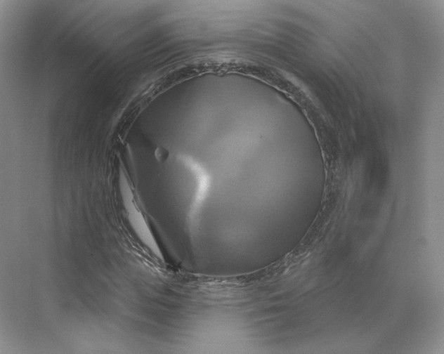 X0000075900823200609291729