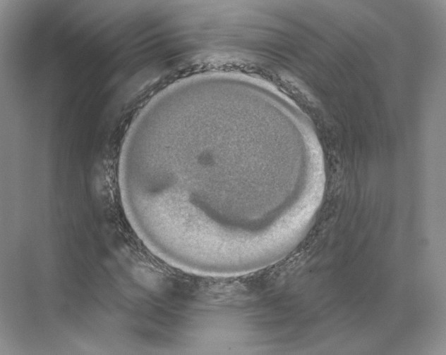 X0000075900824200609291729