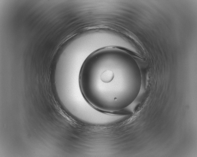 X0000075900826200609291729