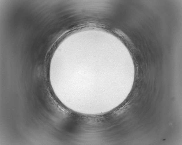 X0000075900828200609291729