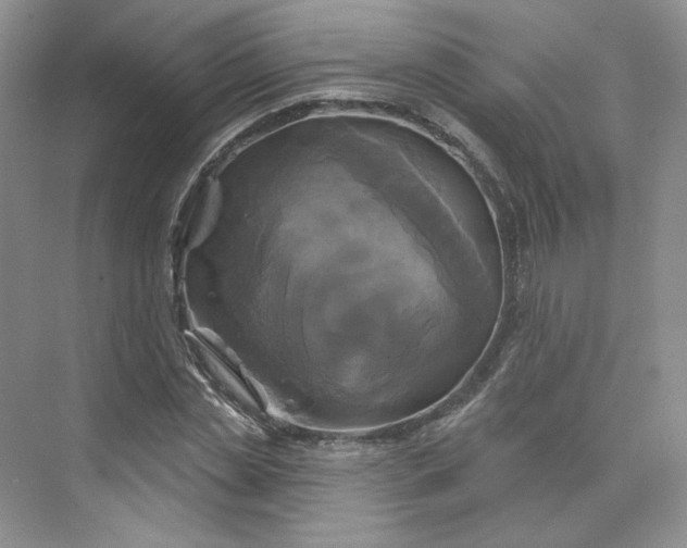 X0000075900829200609291729