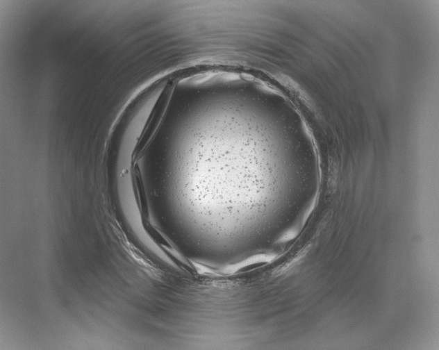 X0000075900830200609291729