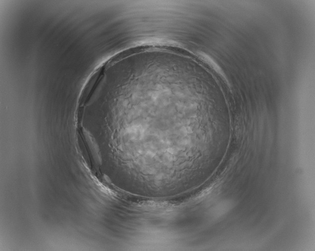 X0000075900831200609291729