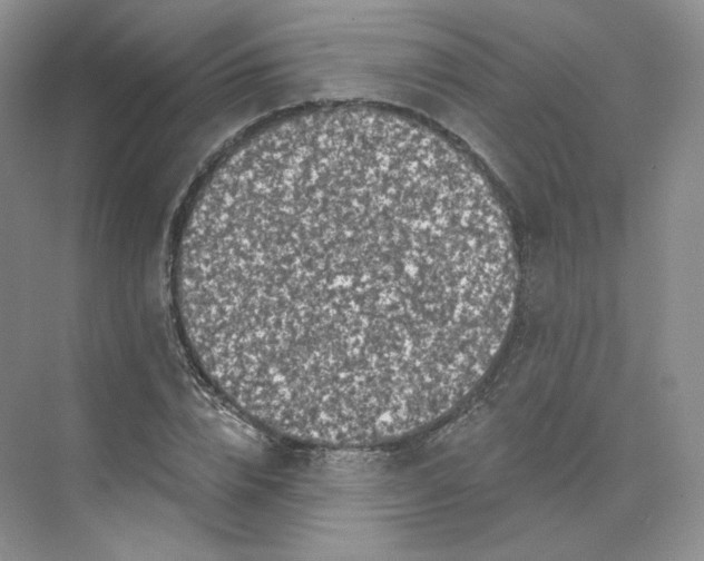 X0000075900832200609291730