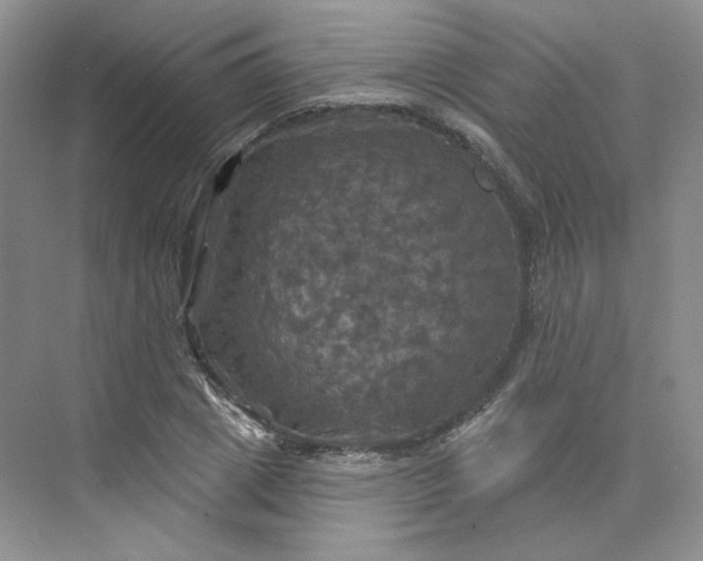 X0000075900833200609291730