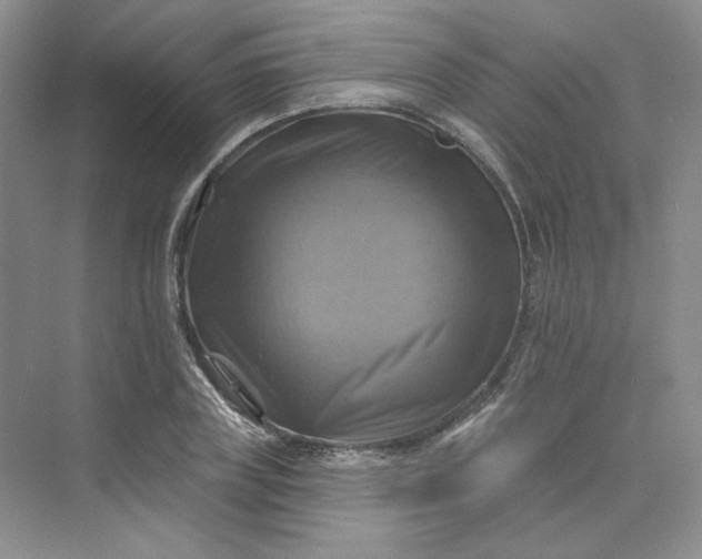 X0000075900835200609291730