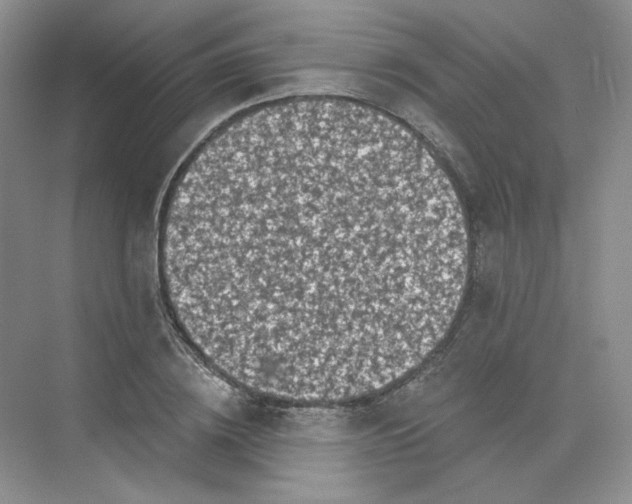 X0000075900836200609291730