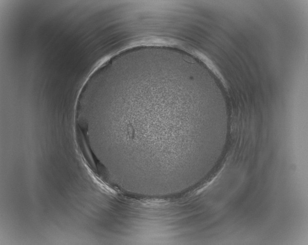 X0000075900837200609291730