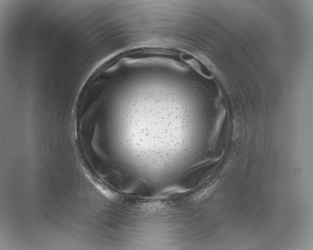 X0000075900838200609291730