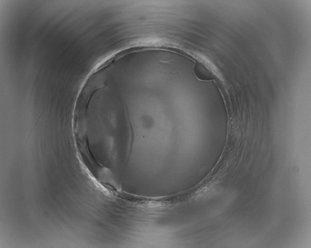 X0000075900839200609291730