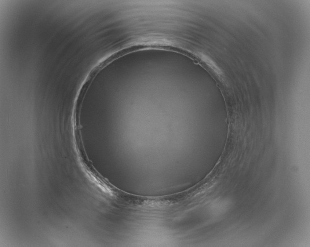 X0000075900840200609291730