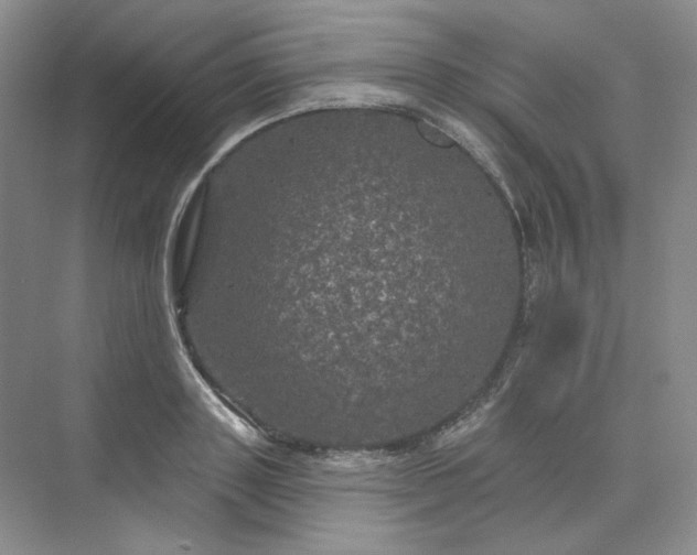 X0000075900843200609291730