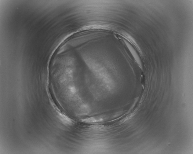 X0000075900844200609291730