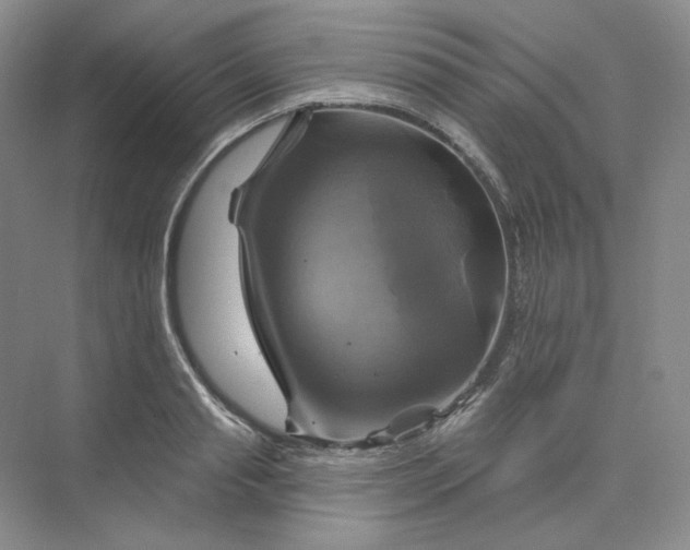 X0000075900845200609291730