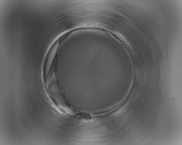 X0000075900846200609291730