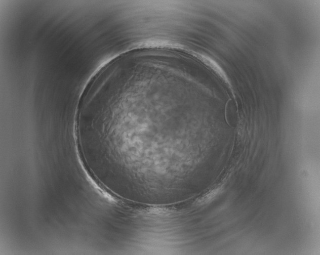 X0000075900847200609291730