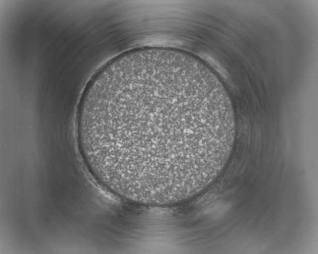 X0000075900848200609291730