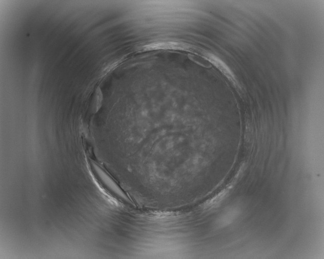 X0000075900849200609291730