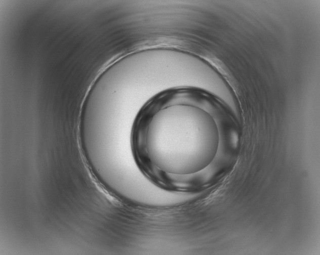 X0000075900850200609291730