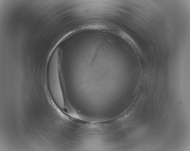 X0000075900852200609291730